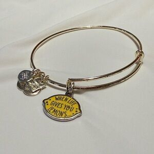 Alex and Ani Silver Bangle Bracelet